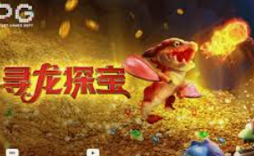 333体育官网下载